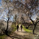 Zona retrocedată - Parcul I.O.R.