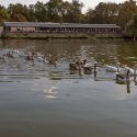 În Parcul Tineretului