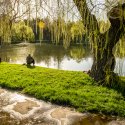 Primavara in parcul Tineretului