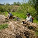 Mestesugari - Delta Vacaresti - Lacul Vacaresti