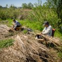 Mestesugari - Delta Vacaresti - Lacul Vacaresti