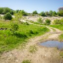 Poteca - Delta Vacaresti - Lacul Vacaresti