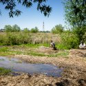 Mestesugari - Delta Vacaresti - Lacul Vacaresti