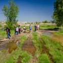 In excursie - Delta Vacaresti - Lacul Vacaresti