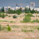 Privind spre centru - Delta Vacaresti - Lacul Vacaresti