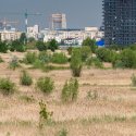 Privind spre centru - Delta Vacaresti - Lacul Vacaresti