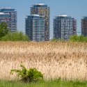 Asmita Gardens - Delta Vacaresti - Lacul Vacaresti