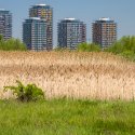 Asmita Gardens - Delta Vacaresti - Lacul Vacaresti