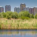 Asmita Gardens - Delta Vacaresti - Lacul Vacaresti