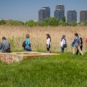 In excursie - Delta Vacaresti - Lacul Vacaresti