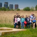 In excursie - Delta Vacaresti - Lacul Vacaresti