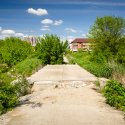 Pod spre o insula abandonata - Lacul Colentina