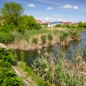 Pod spre o insula abandonata - Lacul Fundeni