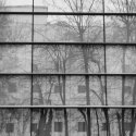 Straturile haosului