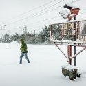 Halta Bucuresti Triaj - Pajura