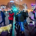 Protest anti-amnistie si gratiere 2017 - Piata Victoriei