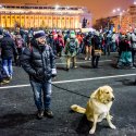 Protest anticoruptie - Piata Victoriei