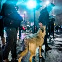 Protest anticoruptie - Piata Victoriei