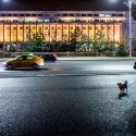 Protest anticoruptie - Piata Victoriei