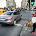 Protest anticoruptie - Piata Victoriei