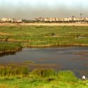 Lacul Vacaresti cu pescari, macarale si blocuri