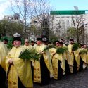 Preoti la Procesiunea de Florii de pe Dealul Mitropoliei