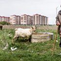 Cioban - Popești-Leordeni