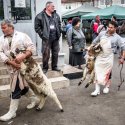 Măcelari - Piața Apărătorii Patriei