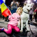 Copil și cățel - Protest anticorupție - Piața Victoriei