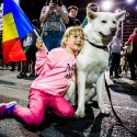 Copil și cățel - Protest anticorupție - Piața Victoriei