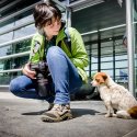 Eli și un cățel din cartier - Stația de metrou Străulești - Bulevardul Bucureștii Noi