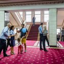 Interior - Ministerul Afacerilor Interne