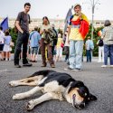 Protest împotriva naționalizării pilonului II de pensie - Piața Victoriei