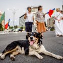 Protest împotriva naționalizării pilonului II de pensie - Piața Victoriei