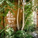 No Money No Dreams - Graffiti - Moara lui Assan