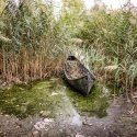 Barcă abandonată - Parcul Natural Văcărești