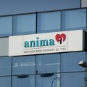 anima - firme din zona corporatista Pipera