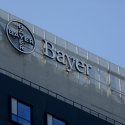 Bayer - firme din zona corporatista Pipera