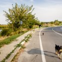 Dâmbovița înainte de Lacul Morii - Chiajna