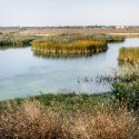 Dâmbovița înainte de Lacul Morii - Chiajna