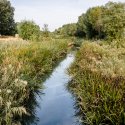 Dâmbovița înainte de Lacul Morii - Chiajna