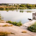 Lac lângă Dâmbovița - Chiajna