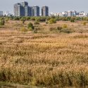 Toamna - Parcul Natural Văcărești