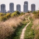 Potecă - Parcul Natural Văcărești