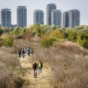 Parcul Natural Văcărești