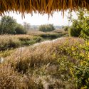 Parcul Natural Văcărești