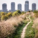 Potecă - Parcul Natural Văcărești