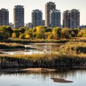 Baltă - Parcul Natural Văcărești