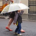 Street Delivery 2014