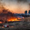 Incendiu Delta Văcărești - 24 februarie 2020